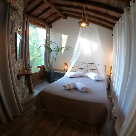 Forest Loft *