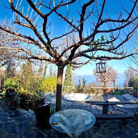 Forest Loft Τσαγκαράδα